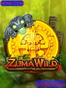 Explorando o Mundo de ZumaWild: Um Guia Completo para NDND.COM